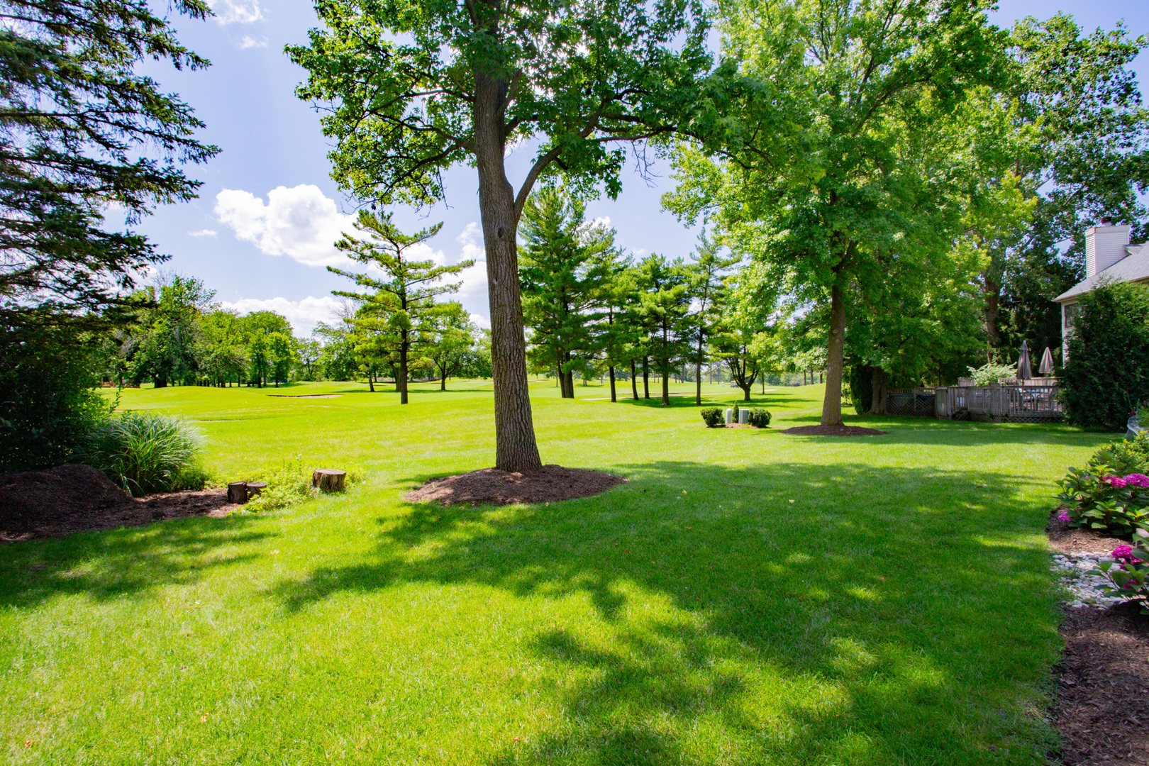 608 Raintree Road Buffalo Grove, IL 60089 - Photo 5 of 59 a view of a yard with a tree