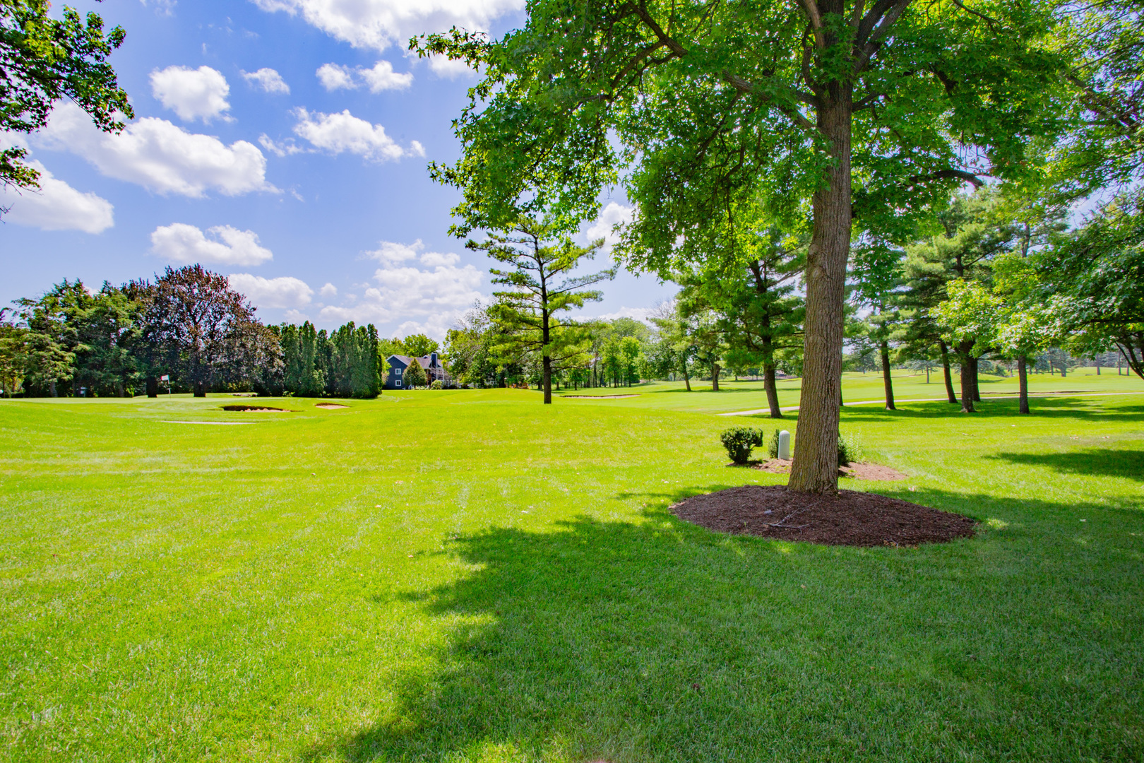 608 Raintree Road Buffalo Grove, IL 60089 - Photo 6 of 59