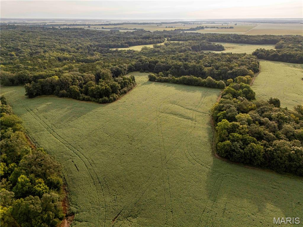 0 293 County Road Kahoka, MO 63445 - Photo 31 of 65 Gallery Image 31