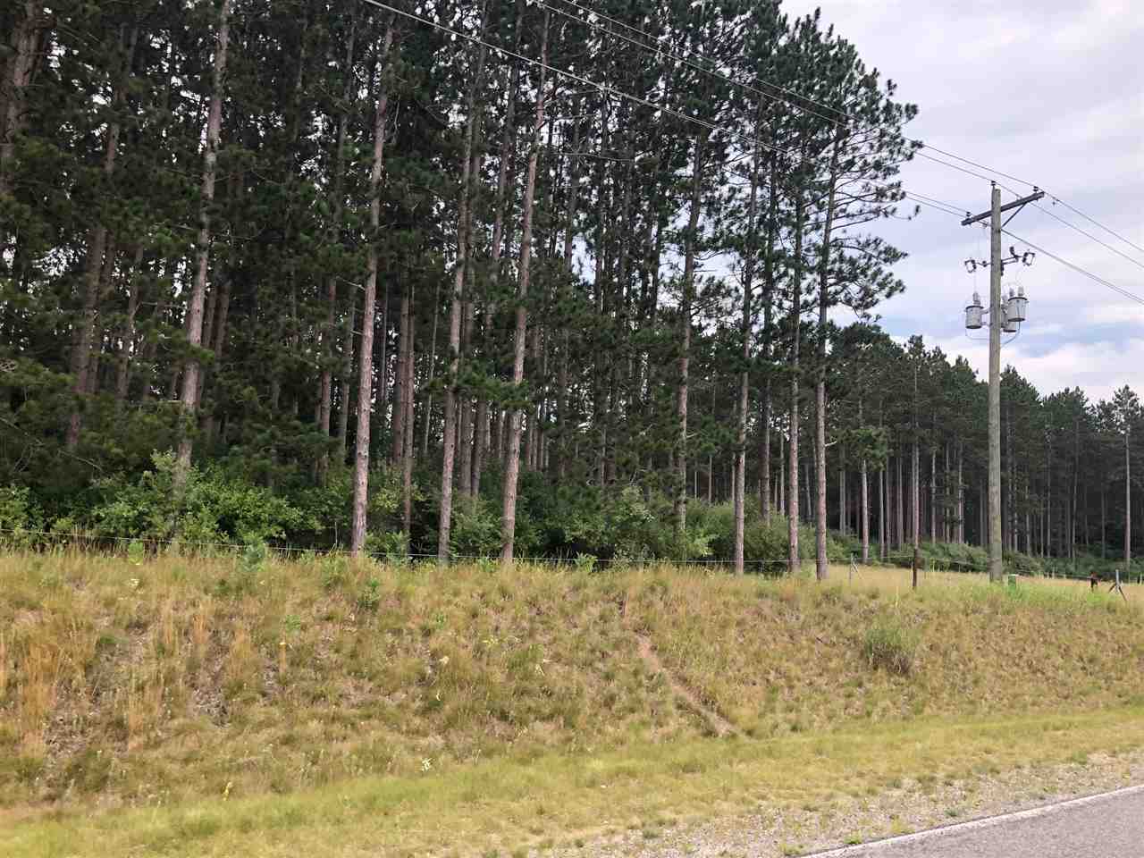 Parcel C South Rolland Road Weidman, MI 48893 - Photo 5 of 5