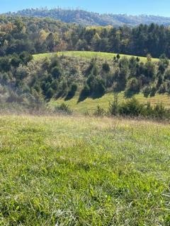 0 McCarter Hollow Road Sevierville, TN 37862 - Photo 1 of 17