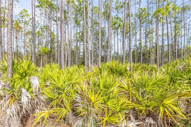 $449,000 | 71 River Strand Lane, St. Augustine, FL 32084