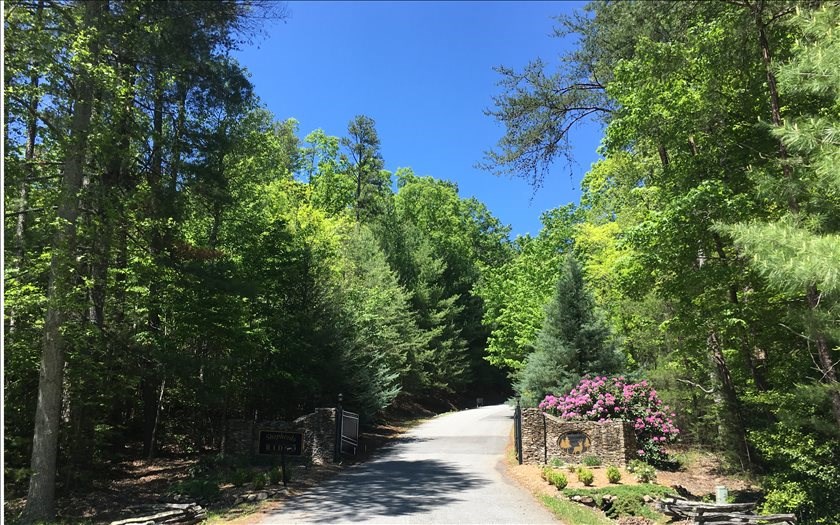 Lot 38 Shepherds Way Morganton, GA 30560 - Photo 2 of 4 a view of a flower in a yard