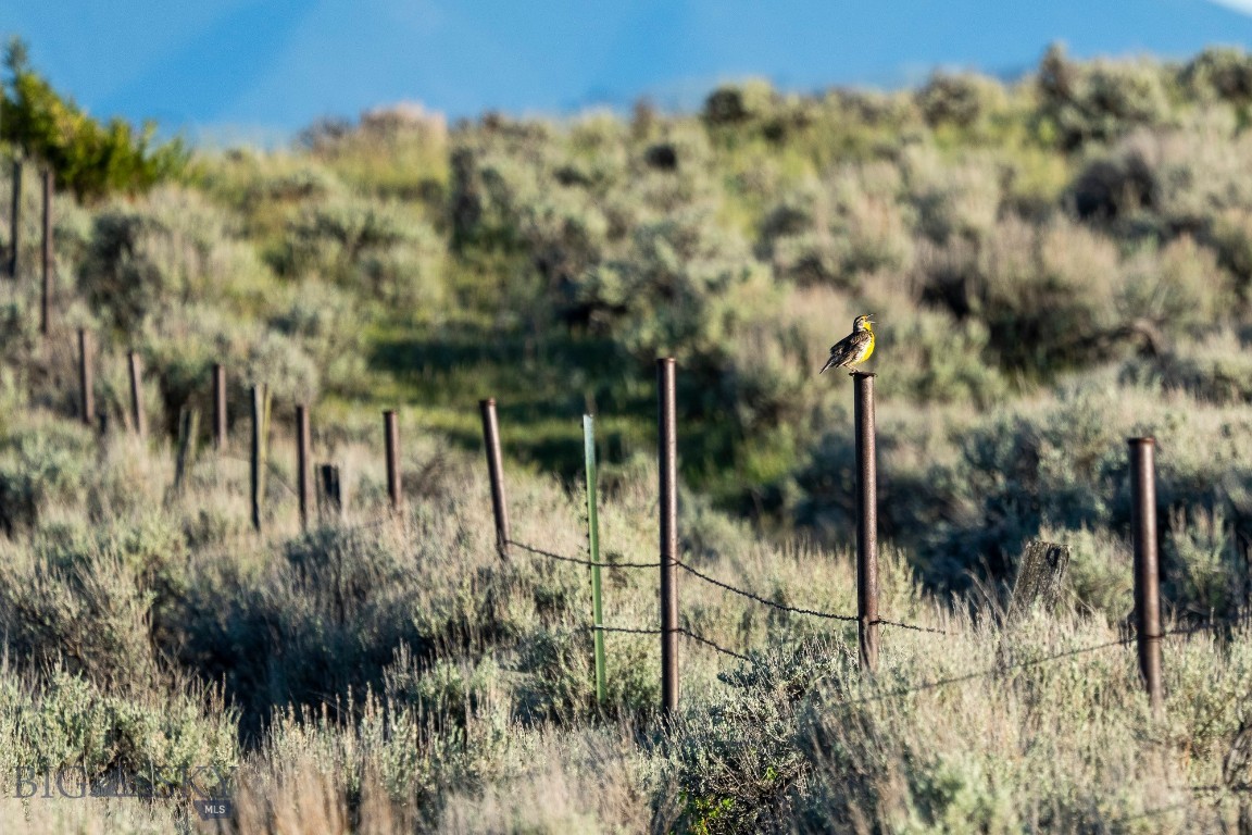20 Shy Road Wilsall, MT 59086 - Photo 12 of 24 Gallery Image 12