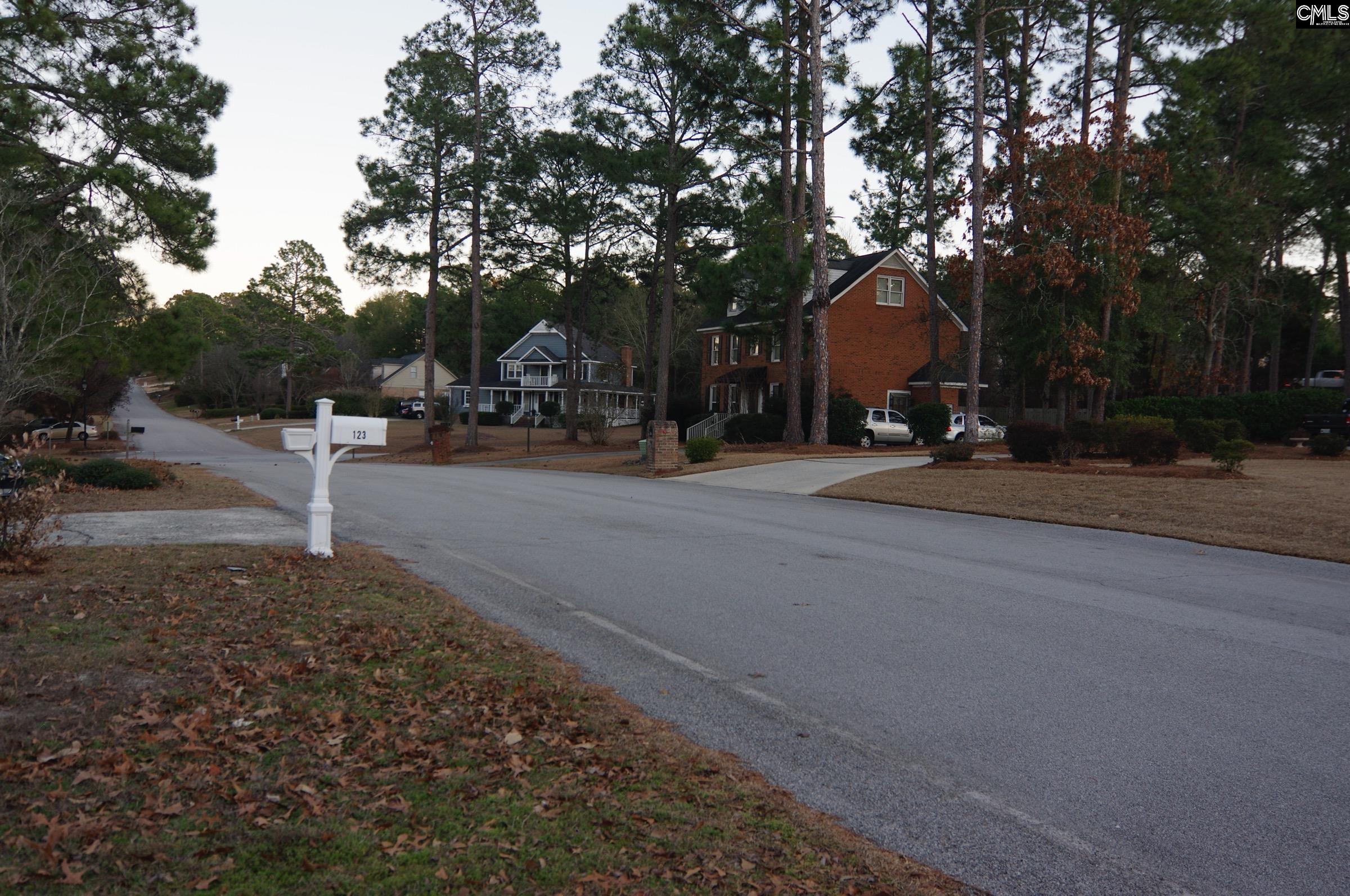123 Valley Springs Road Columbia, SC 29223 - Photo 2 of 27