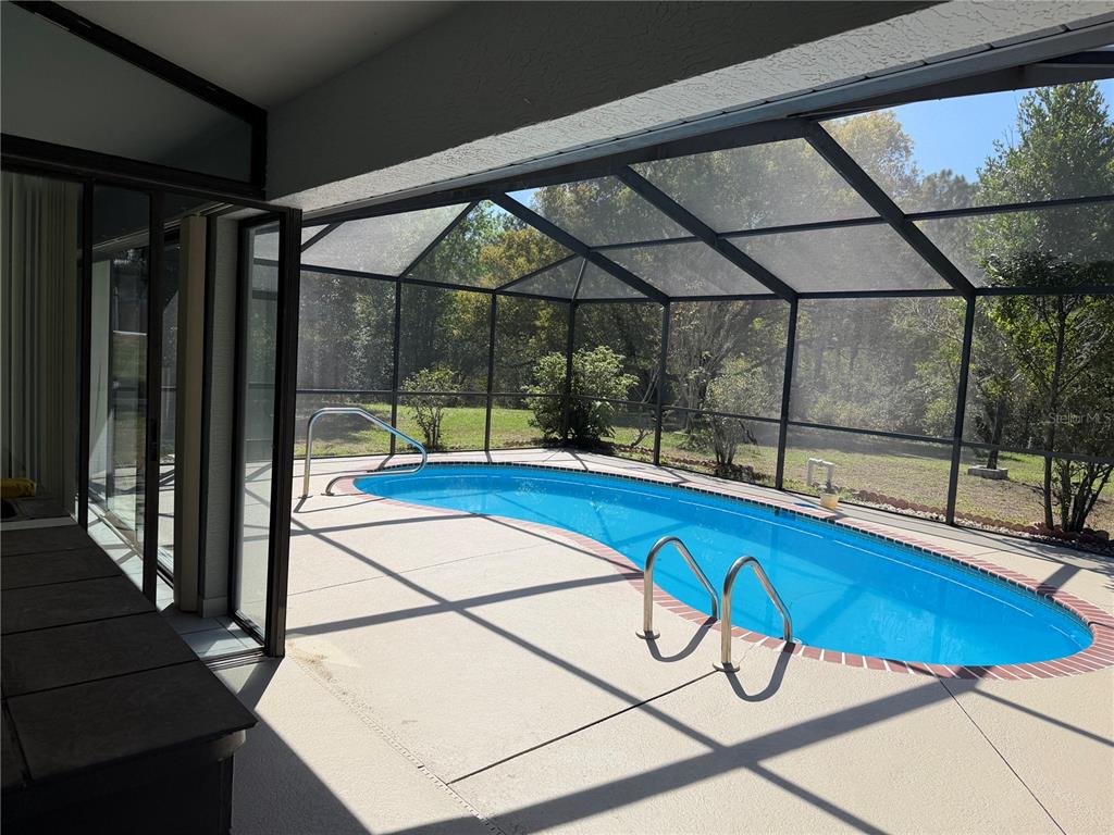 994 East Crown Of Roses Loop Inverness, FL 34453 - Photo 19 of 20 a view of a swimming pool with a lounge chair