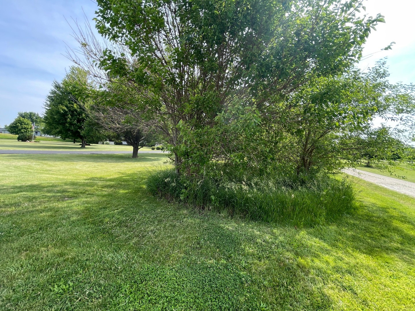 2908 East 29th Road Seneca, IL 61360 - Photo 2 of 4 a view of outdoor space with trees all around