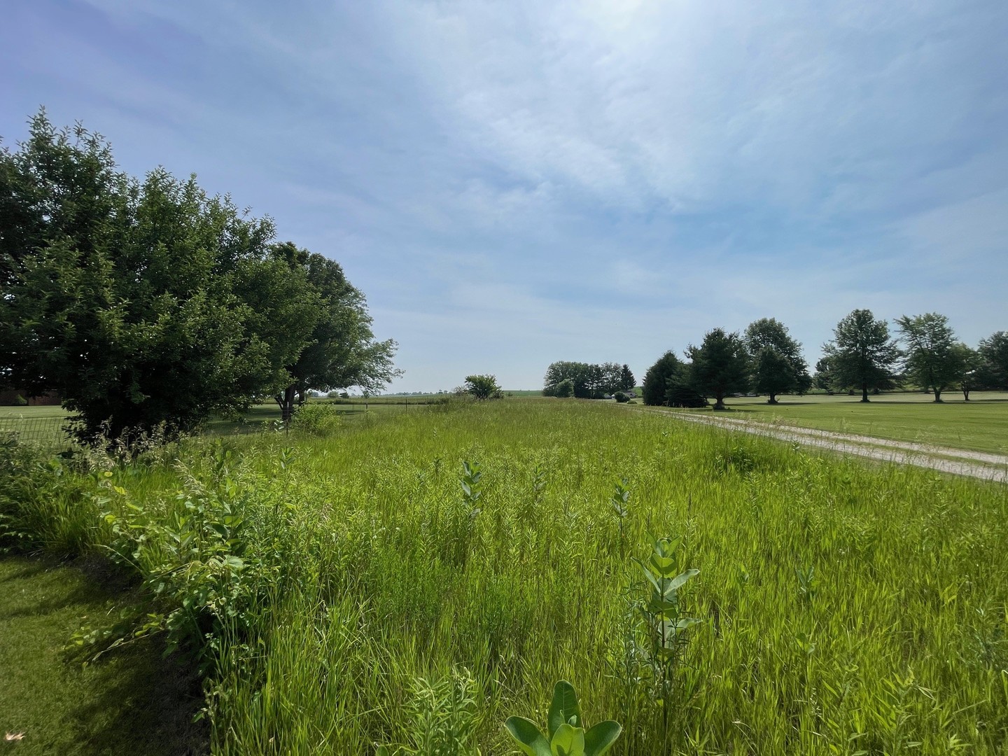 2908 East 29th Road Seneca, IL 61360 - Photo 3 of 4 a view of grassy field with trees