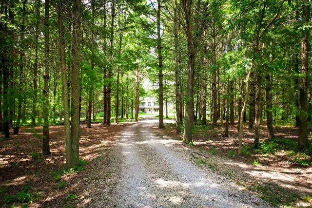 $750,000 | 4331 County Road 1225 East, Salem, IL 62881