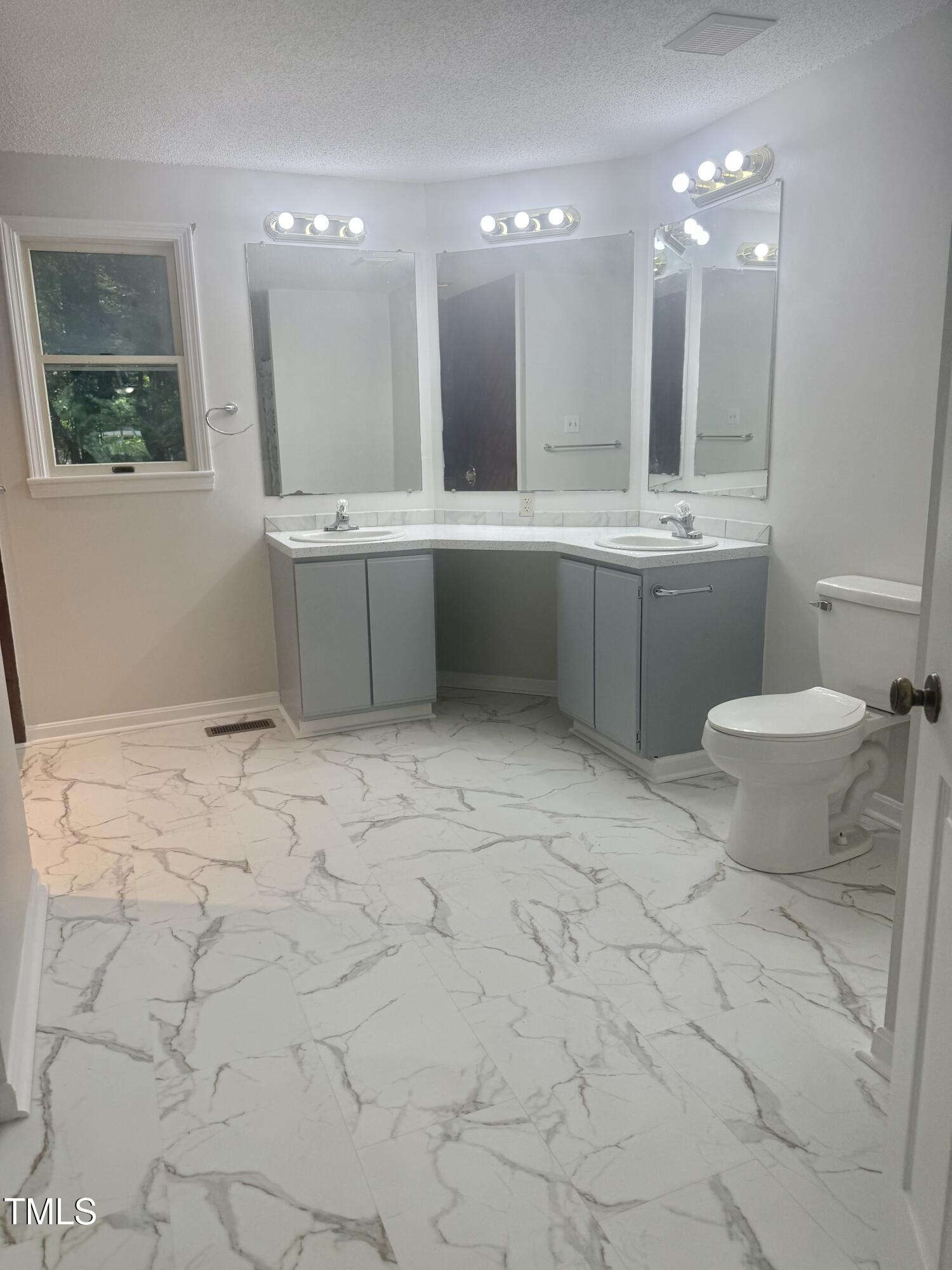 192 Misty Hollow Road Timberlake, NC 27583 - Photo 19 of 43 a bathroom with a sink a toilet and mirror