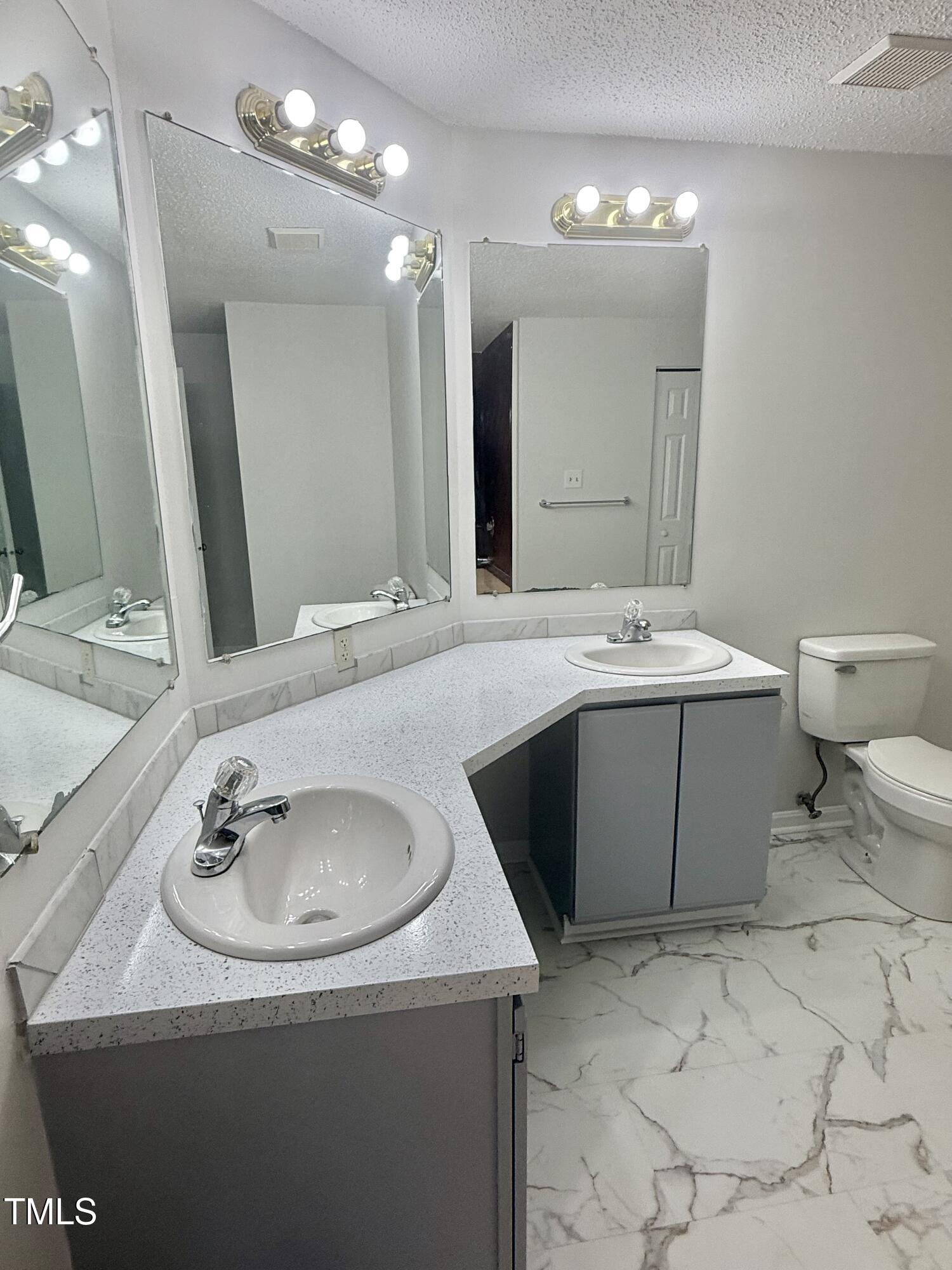 192 Misty Hollow Road Timberlake, NC 27583 - Photo 23 of 43 a bathroom with a sink a toilet and a mirror