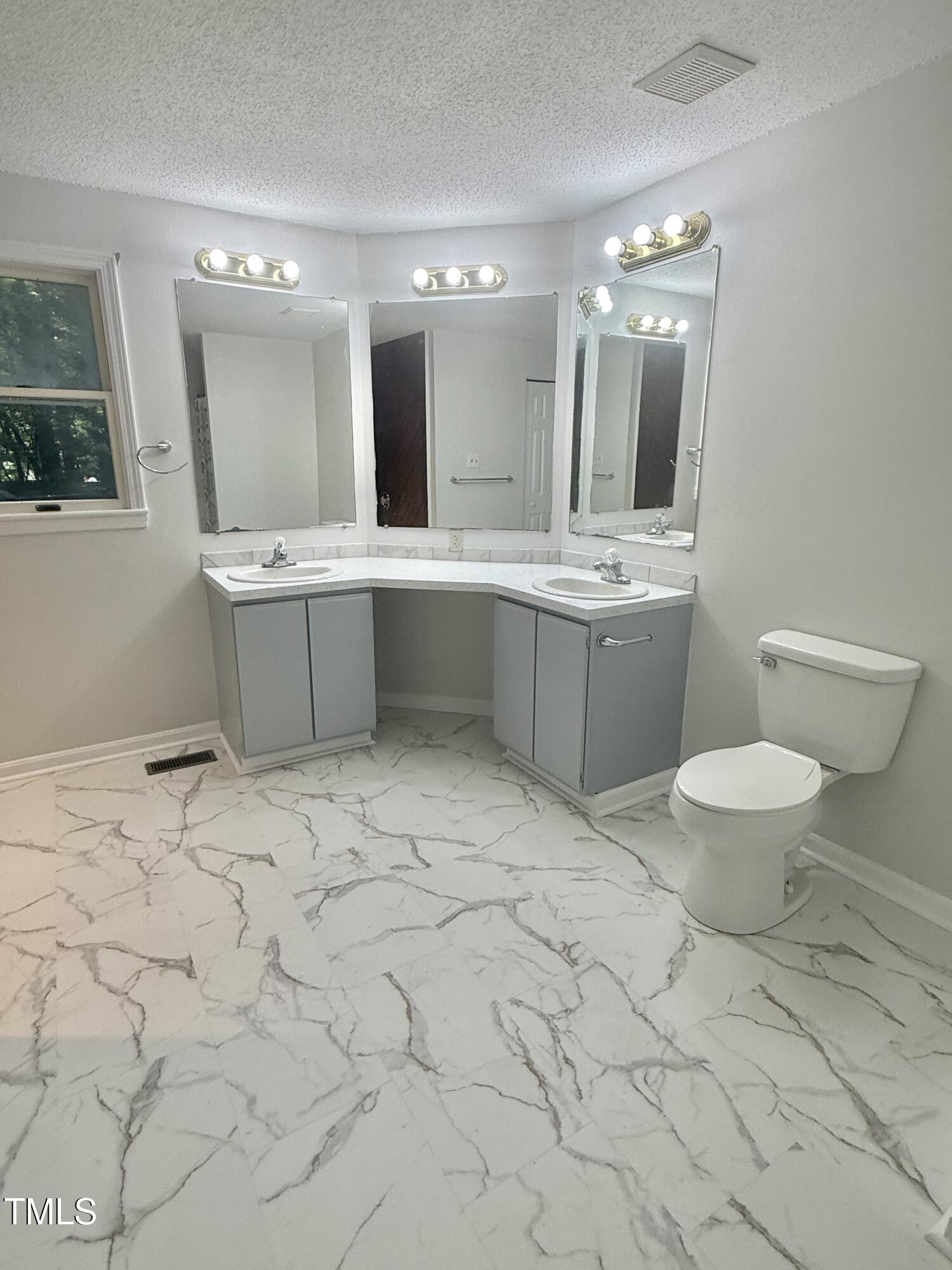 192 Misty Hollow Road Timberlake, NC 27583 - Photo 26 of 43 a large bathroom with a toilet sink and mirror