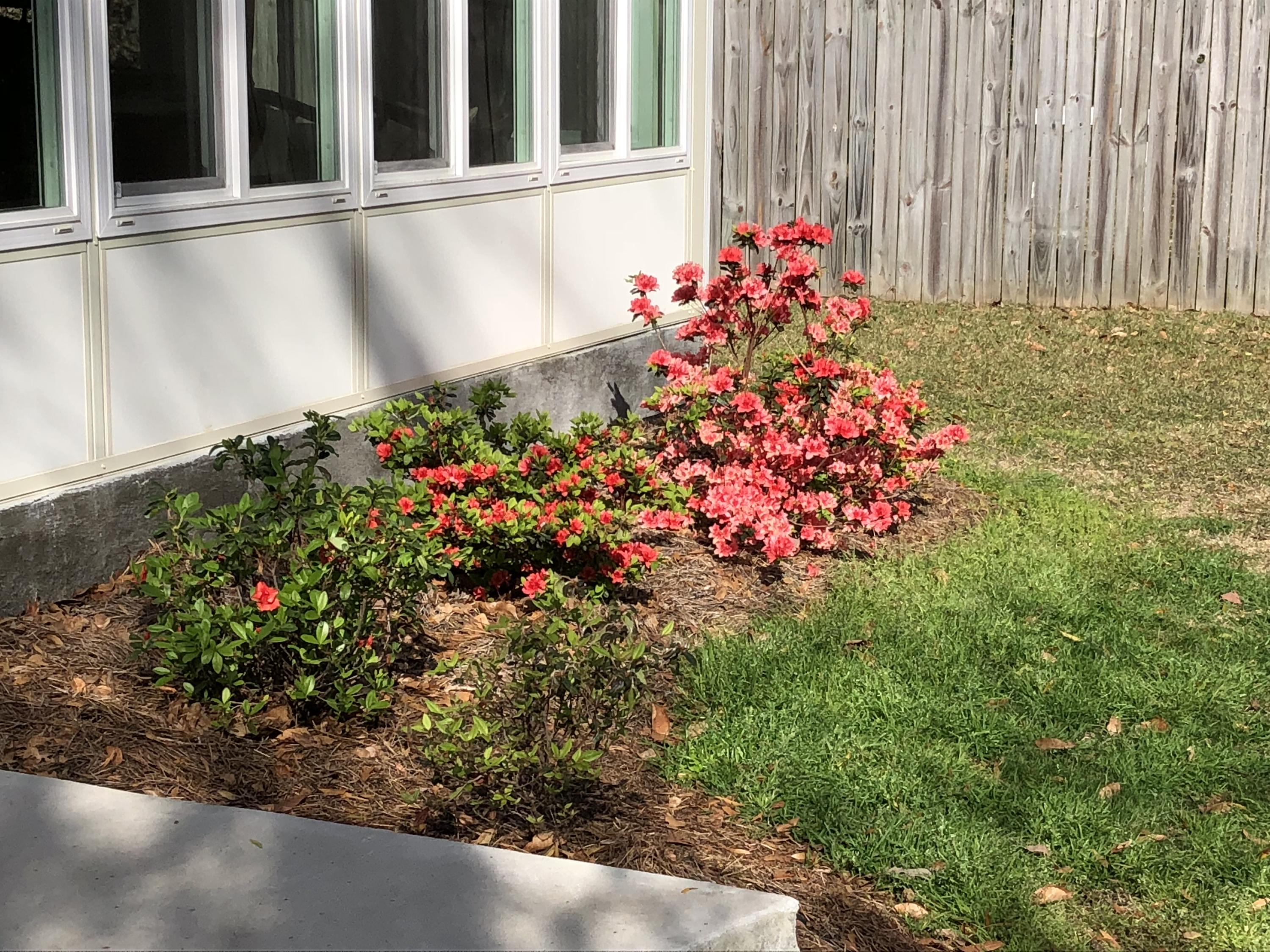 102 Towne Square Road Summerville, SC 29485 - Photo 43 of 51 Flowers Towne Sq2