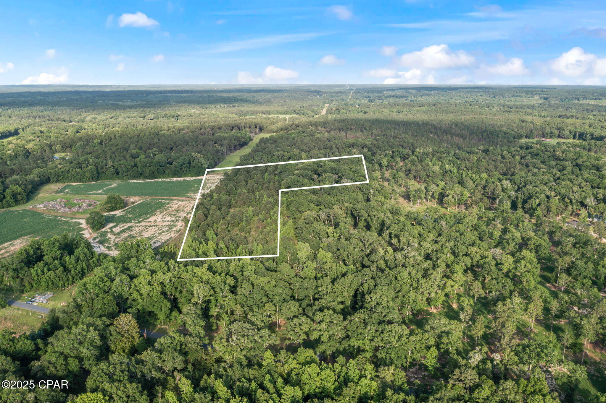 Xxx Owens Community Road Vernon, FL 32462 - Photo 19 of 20 Gallery Image 19