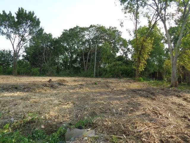 a view of outdoor space with trees