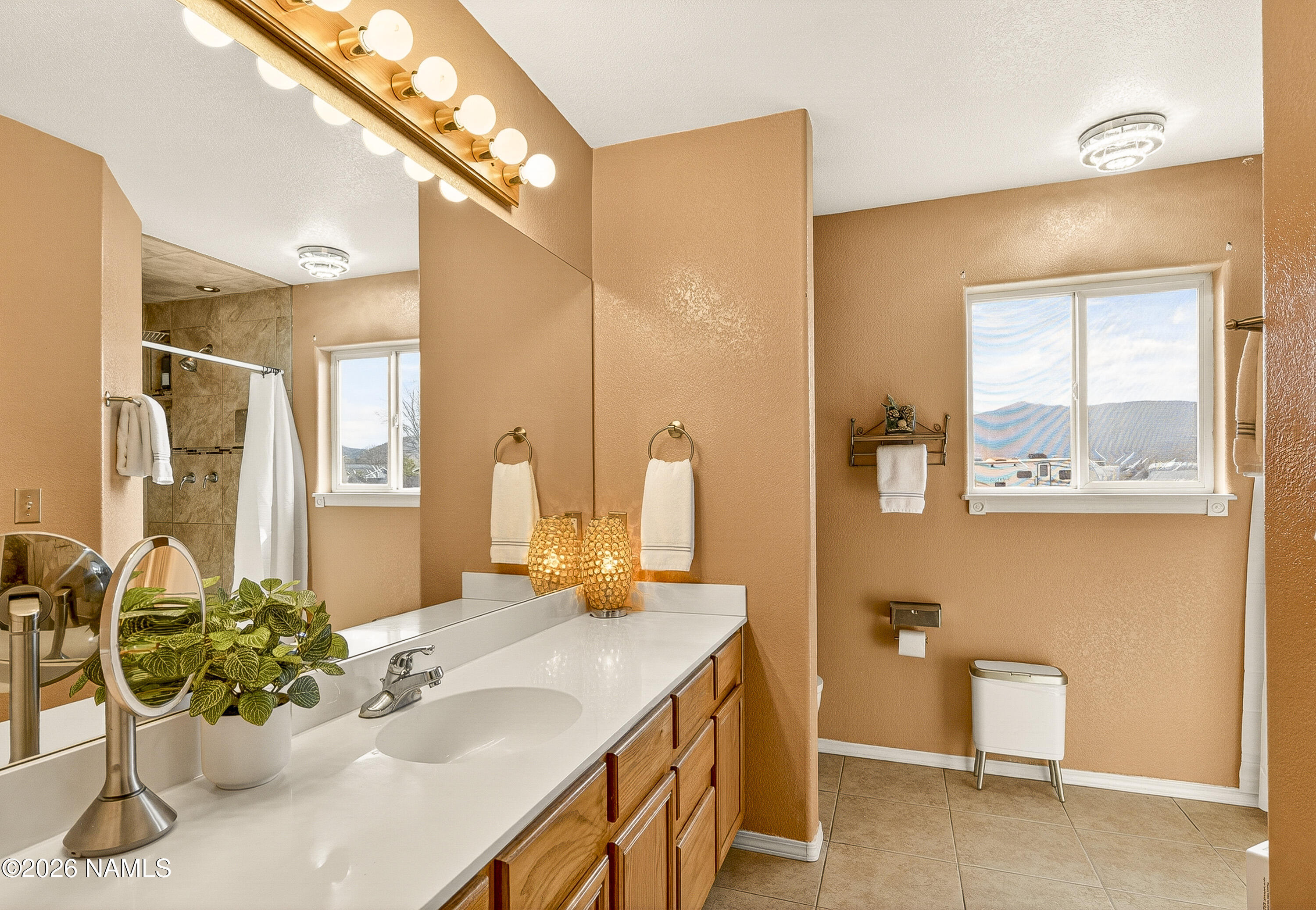 7725 Alma Road Flagstaff, AZ 86004 - Photo 18 of 38 a bathroom with a sink mirror and a shower