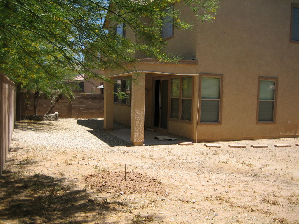 3452 West Florimond Road Phoenix, AZ 85086 - Photo 6 of 20 Yard 1