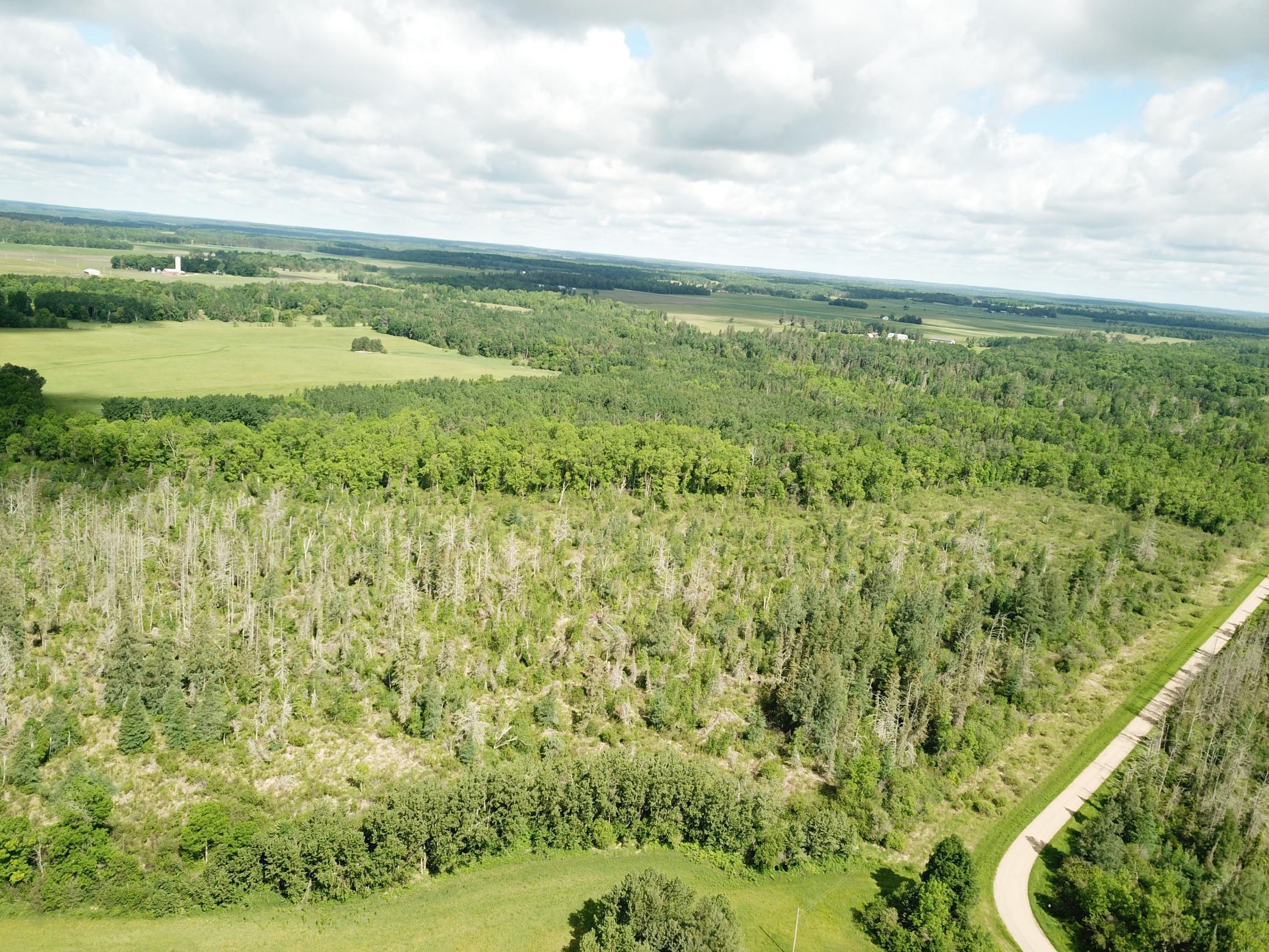 Tbd1 Mud Lake Road Bagley, MN 56621 - Photo 6 of 31