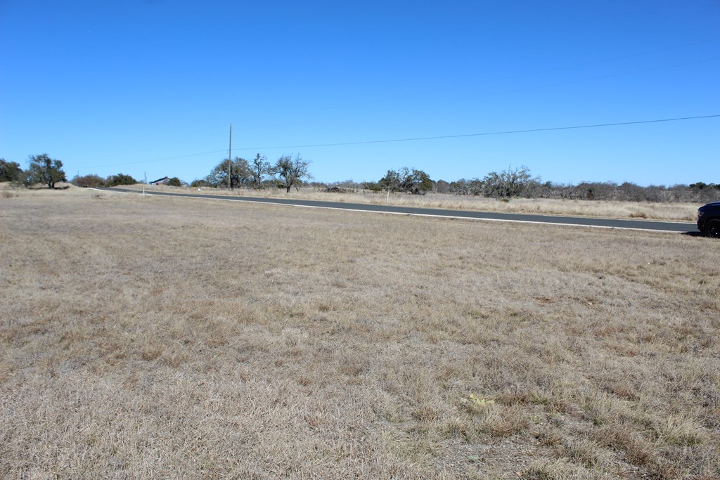 184 Lipan Loop Harper, TX 78631 - Photo 4 of 7