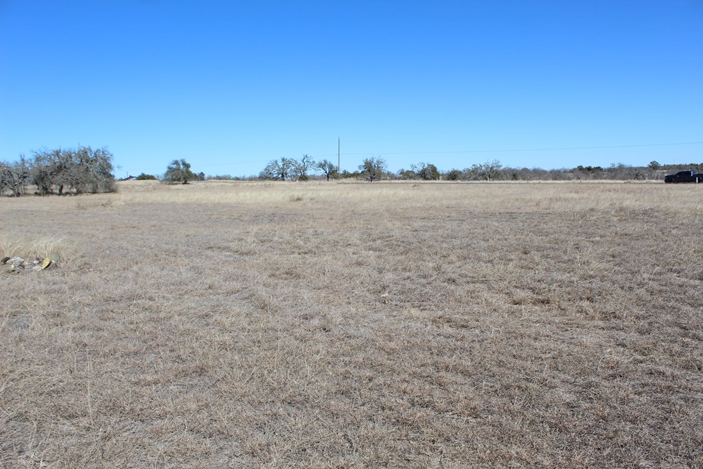 184 Lipan Loop Harper, TX 78631 - Photo 6 of 7