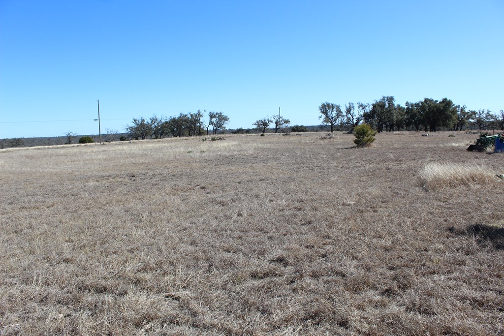 184 Lipan Loop Harper, TX 78631 - Photo 7 of 7