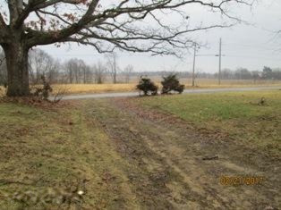 55290 Flatbush Road Three Rivers, MI 49093 - Photo 3 of 10 IMG_4097