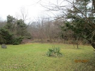 55290 Flatbush Road Three Rivers, MI 49093 - Photo 5 of 10 IMG_4109