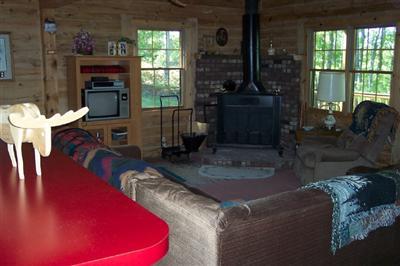 6838 Freeman Road Free Soil, MI 49411 - Photo 4 of 15 Additional Photo
