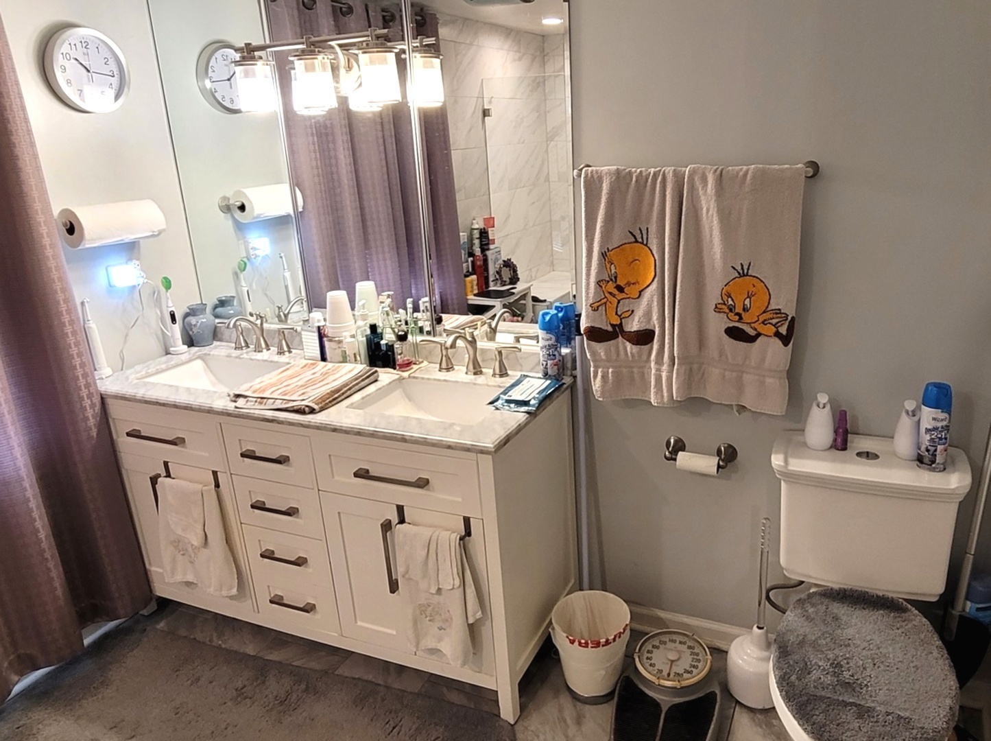 7432 West Gregory Street Chicago, IL 60656 - Photo 25 of 55 a bathroom with a sink mirror vanity and toilet