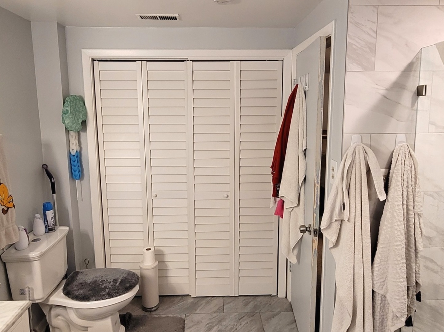 7432 West Gregory Street Chicago, IL 60656 - Photo 27 of 55 a bathroom with a toilet and a shower curtain