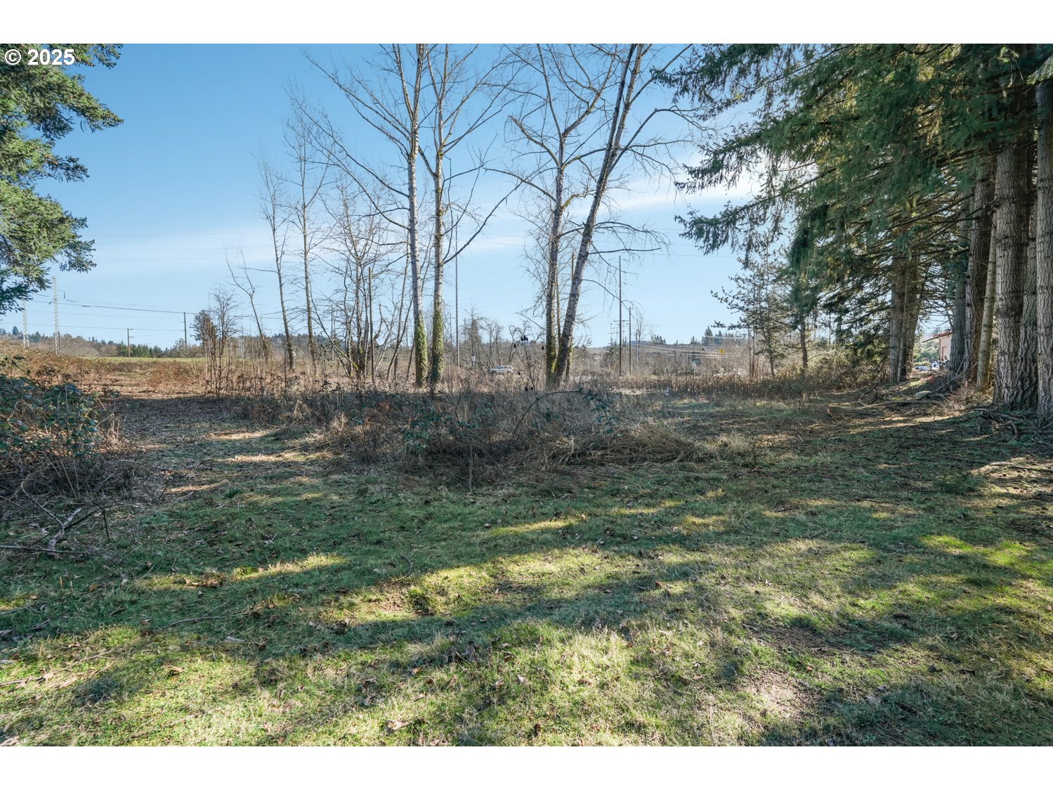 0 West Powell Loop Gresham, OR 97030 - Photo 13 of 20 a view of a yard with wooden fence