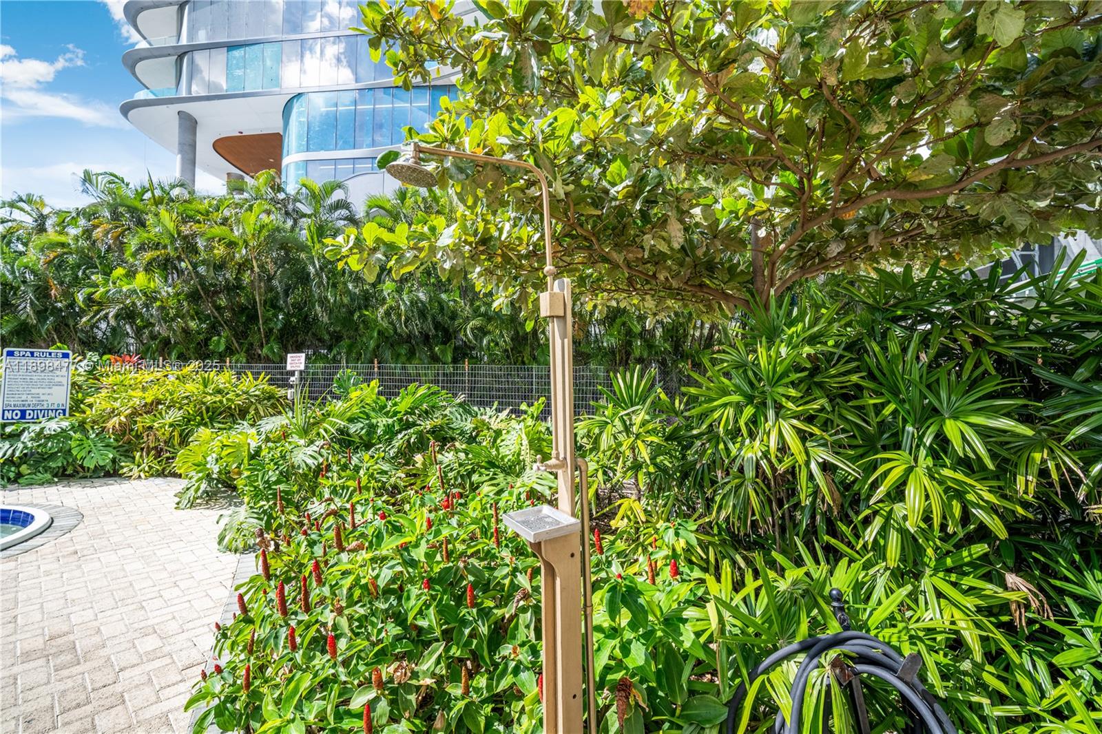 2451 Brickell Avenue, Unit 6N Miami, FL 33129 - Photo 30 of 43 a plant view