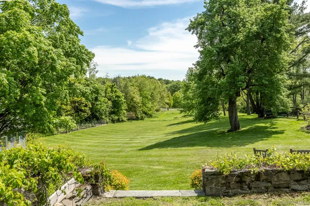 a view of a grassy field with an trees