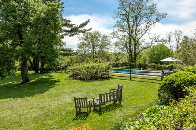 a view of a park with large trees