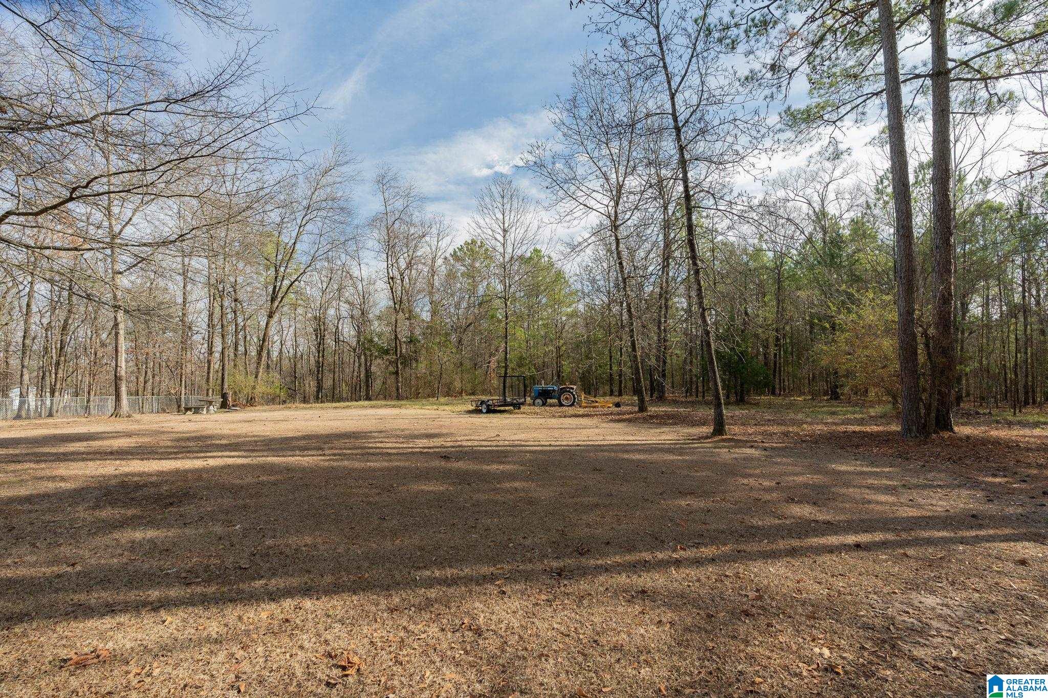 135 Plateau Road Montevallo, AL 35115 - Photo 50 of 53