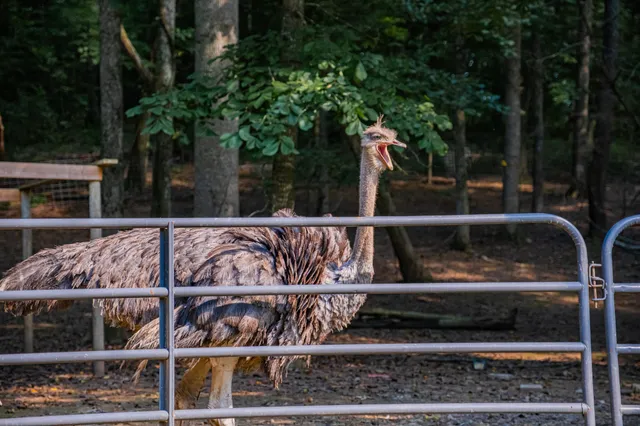 $584,000 | 1450 Pleasant Hill Road, McMinnville, TN 37110