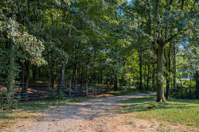 $584,000 | 1450 Pleasant Hill Road, McMinnville, TN 37110