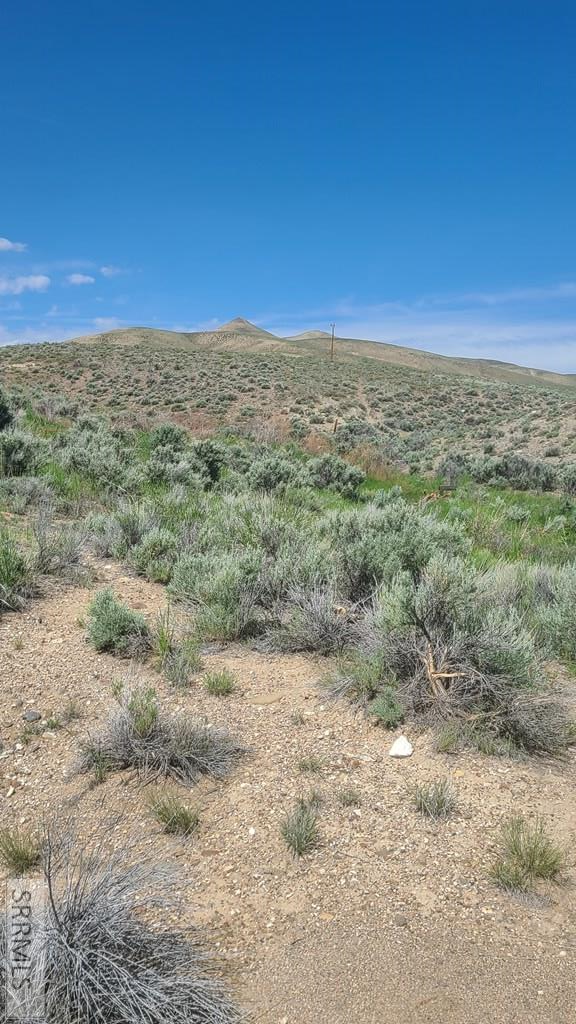 6 Homestead Trail Challis, ID 83226 - Photo 23 of 36
