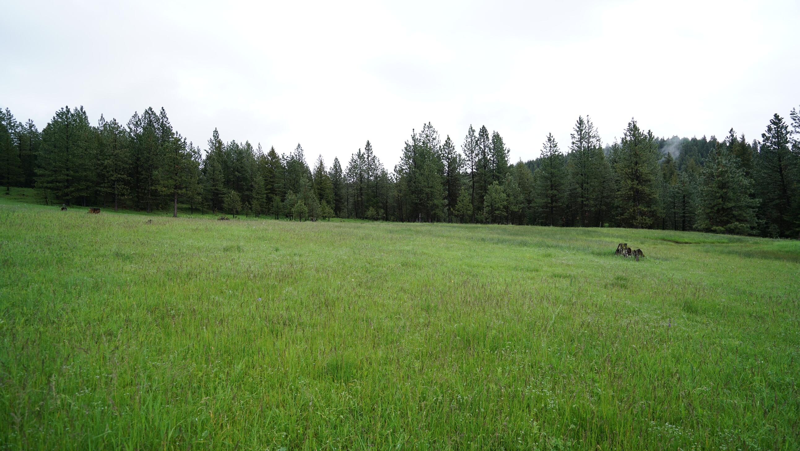 214 Forest Road Bates, OR 97817 - Photo 14 of 34 DSC02324