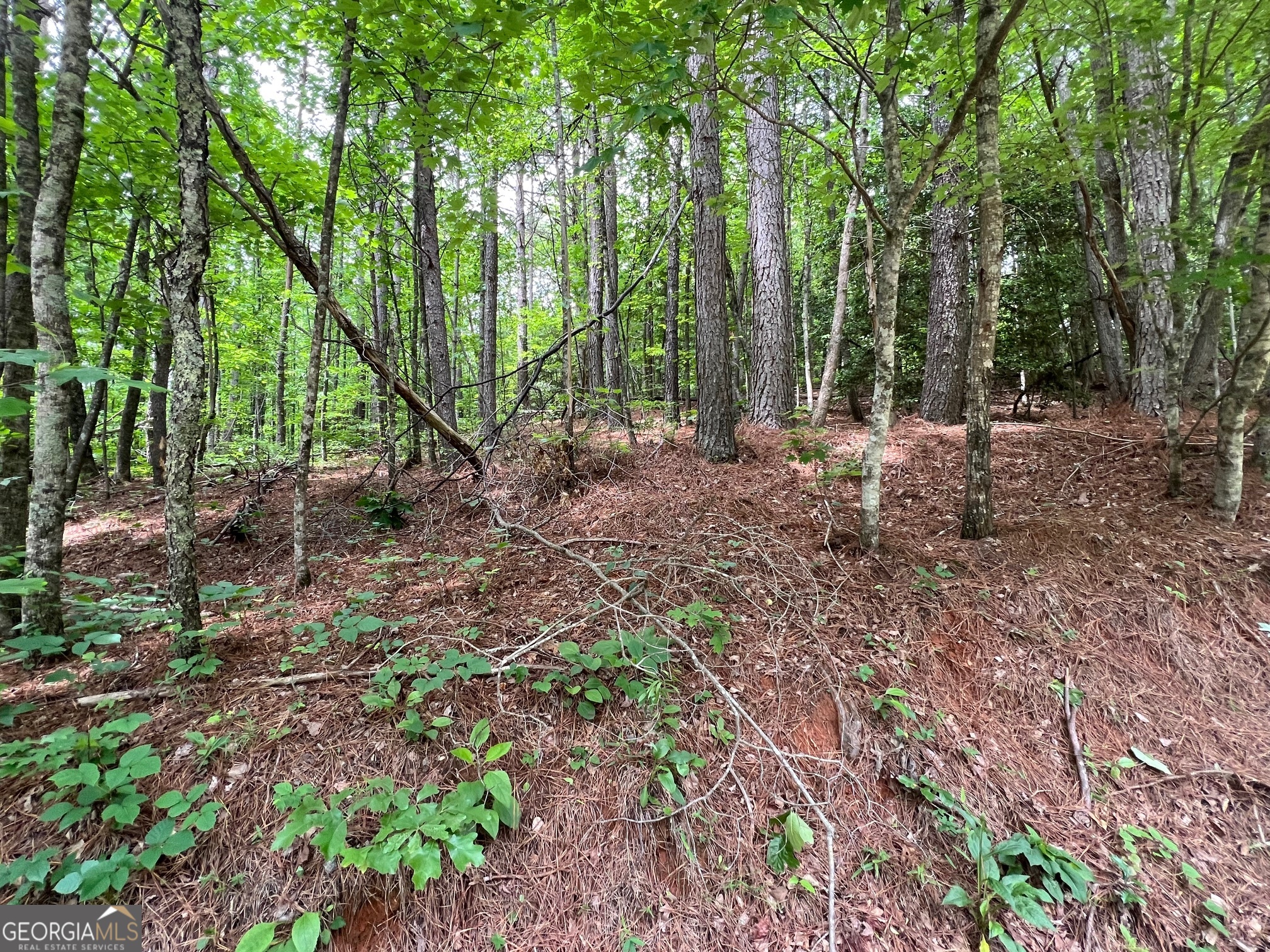 0 Mr Bert Road Hiawassee, GA 30546 - Photo 10 of 22