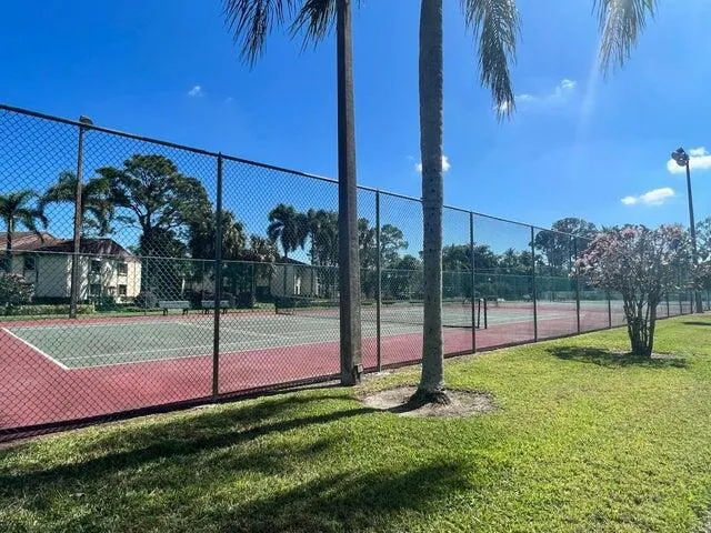a park with lots of tall buildings