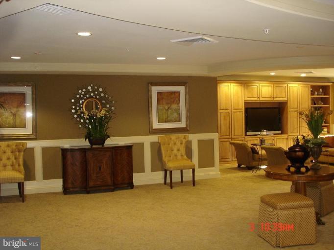 1781 Chain Bridge Road, Unit 301 McLean, VA 22102 - Photo 9 of 10 Community Amenities 4