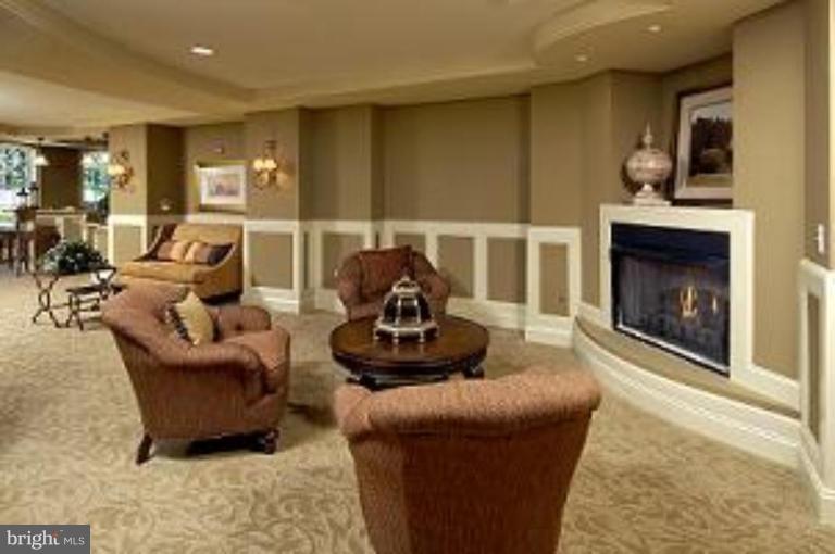 1781 Chain Bridge Road, Unit 301 McLean, VA 22102 - Photo 10 of 10 Entertainment Room with Fireplace
