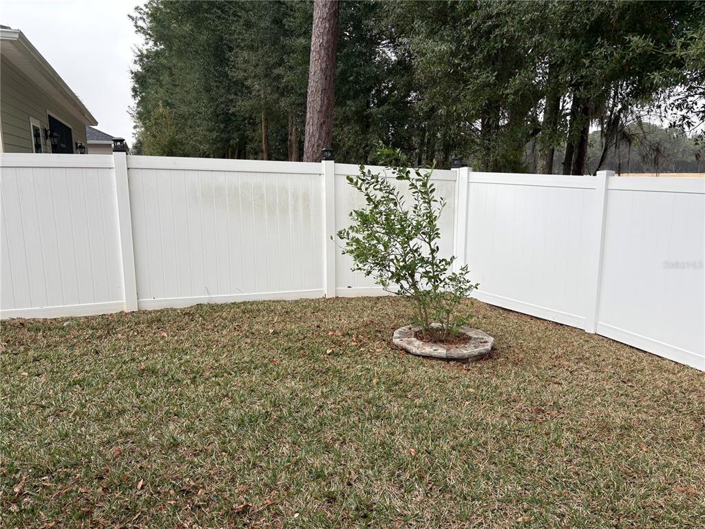 7867 Southwest 74th Loop Ocala, FL 34481 - Photo 53 of 55 a view of a backyard