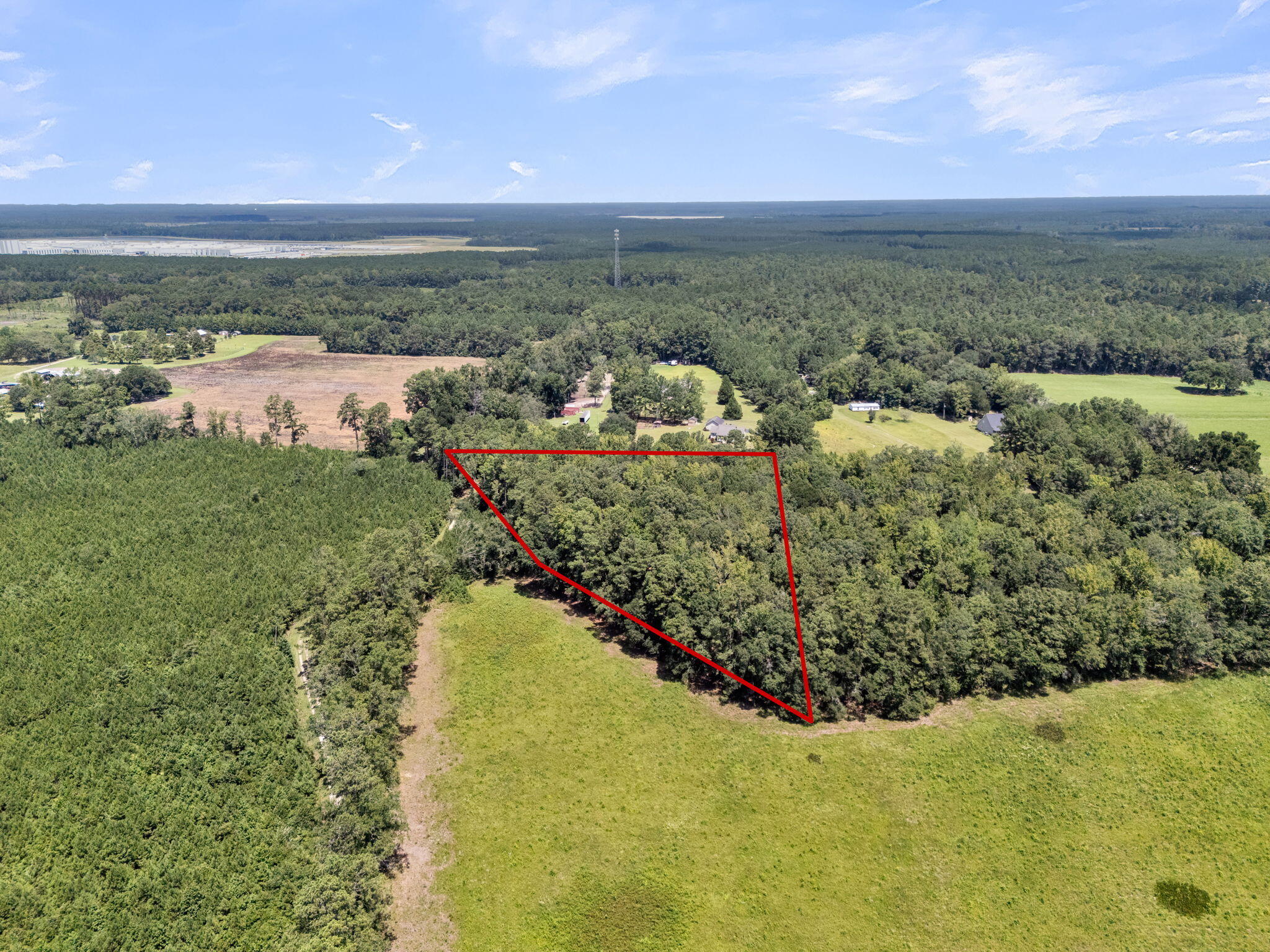 0 Cypress Campground Road Ridgeville, SC 29472 - Photo 4 of 16 4