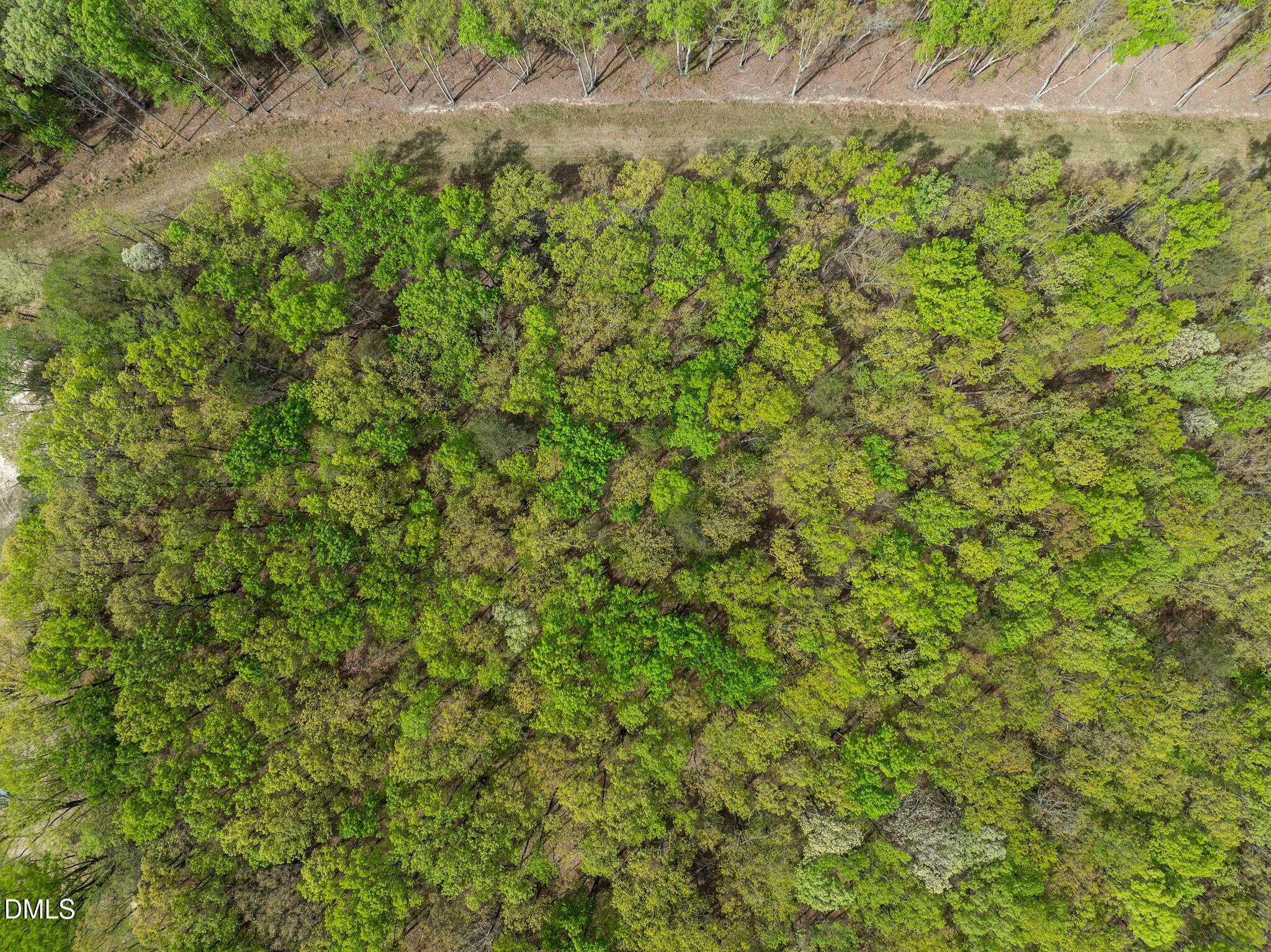 0 Howard Vaughan Road Rougemont, NC 27572 - Photo 4 of 6 15-web-or-mls-DJI_0425