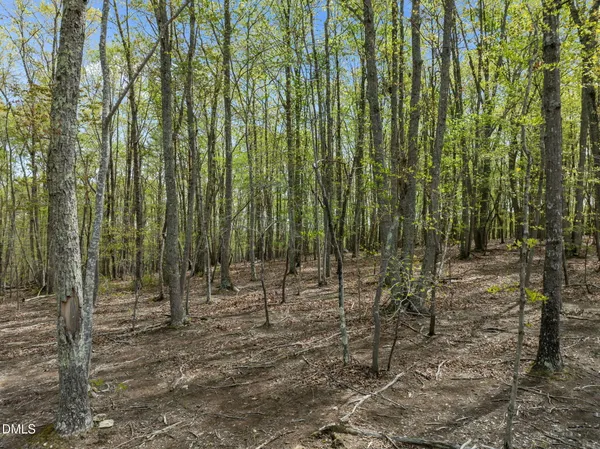 $129,900 | 0 Howard Vaughan Road, Rougemont, NC 27572