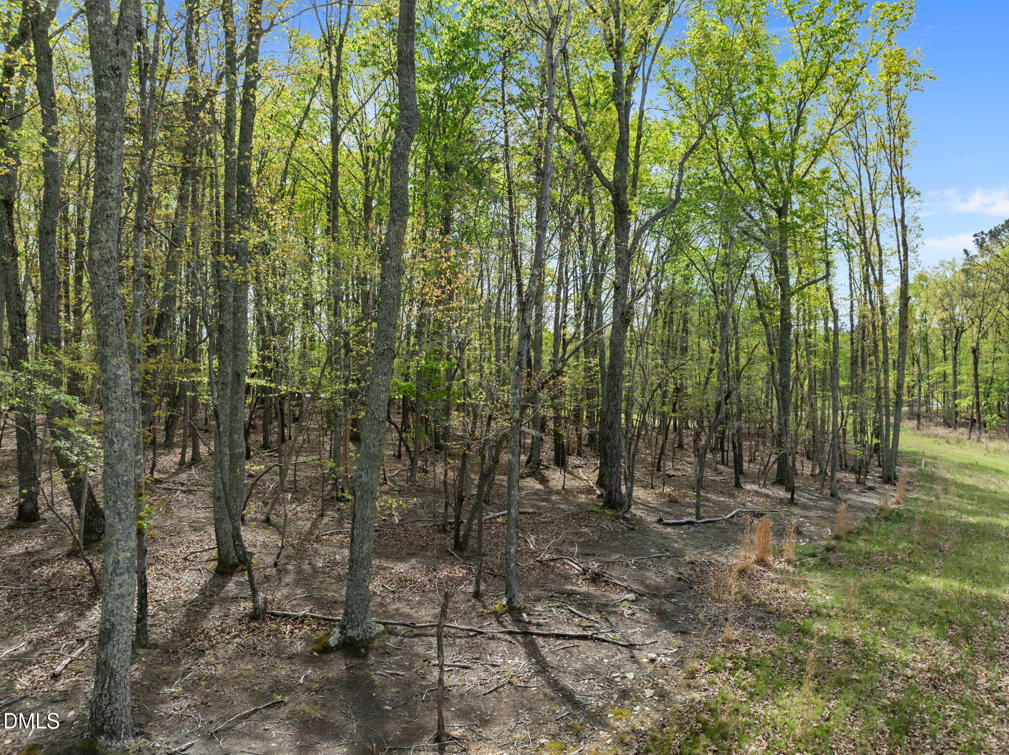 0 Howard Vaughan Road Rougemont, NC 27572 - Photo 6 of 6 14-web-or-mls-DJI_0424