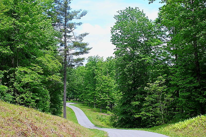 52.15 Chestnut Ridge Road Allardt, TN 38504 - Photo 3 of 39 DPP_0007
