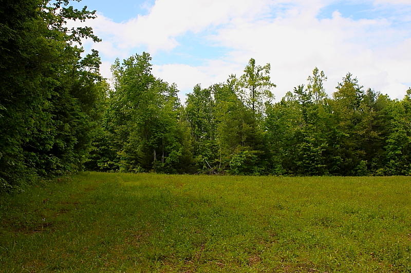 52.15 Chestnut Ridge Road Allardt, TN 38504 - Photo 9 of 39 DPP_0044
